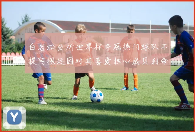 白岩松分析世界杯夺冠热门球队不提阿根廷因对其喜爱担心成贝利命运