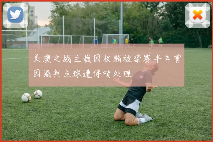 美澳之战主裁因收贿被禁赛半年曾因漏判点球遭停哨处理